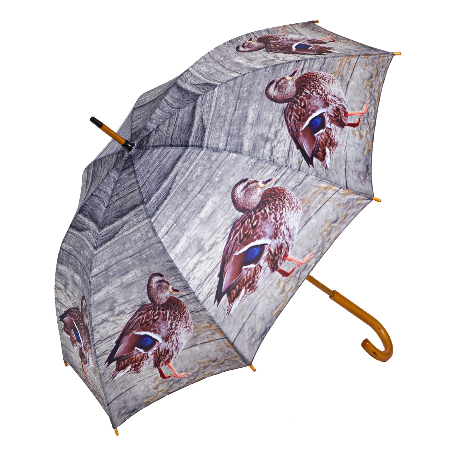 Regenschirm Ente